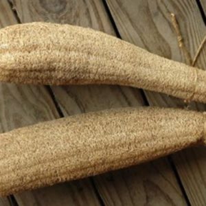 Luffa Gourd