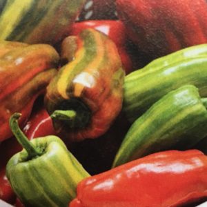 Candy Cane Peppers