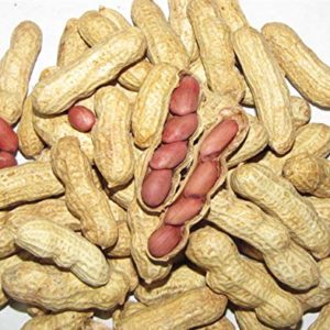 Peanuts