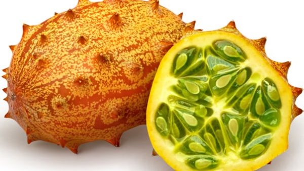 Jelly Melon Cucumber